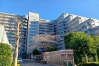 白井ロジュマン